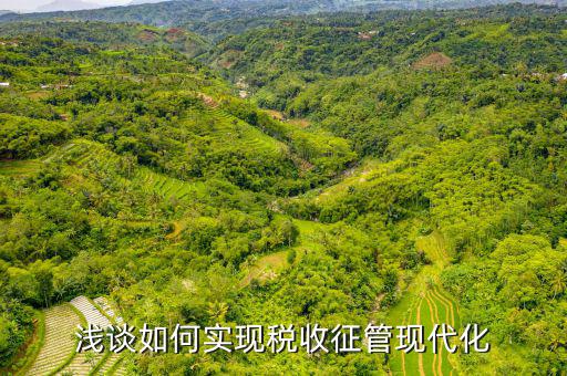 談?wù)勅绾瓮七M(jìn)新時代稅收現(xiàn)代化，淺談如何實現(xiàn)稅收征管現(xiàn)代化