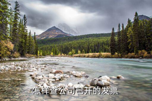發(fā)票單位如何查詢系統(tǒng)，發(fā)票 查詢 商家信息