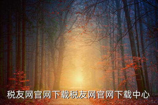 稅友如何下載，個(gè)稅在稅友網(wǎng)上下載下來(lái)了然后怎么安裝