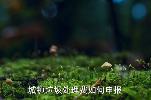 城市生活垃圾費(fèi)如何申報(bào)，城鎮(zhèn)垃圾處理費(fèi)如何申報(bào)