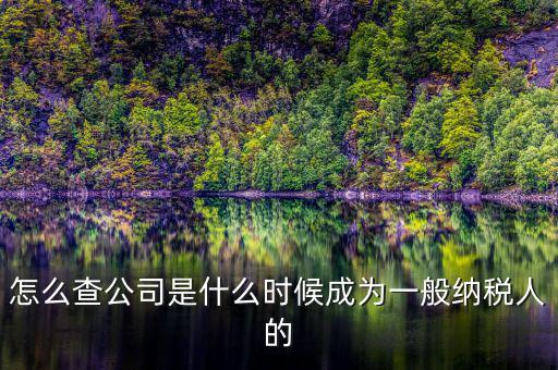 如何查詢一般人納稅認(rèn)定時(shí)間，怎么查公司是什么時(shí)候成為一般納稅人的