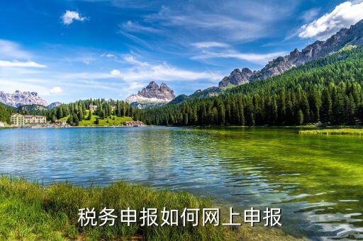 自然人如何網(wǎng)上報(bào)稅，稅務(wù)申報(bào)如何網(wǎng)上申報(bào)