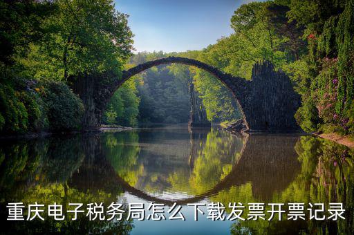重慶市稅務(wù)局電腦如何下載，重慶市自然人電子稅務(wù)局扣繳端怎么下載