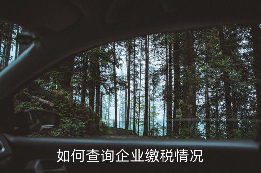 如何查詢企業(yè)交稅情況，如何查詢企業(yè)繳稅情況