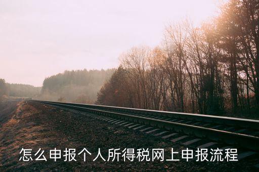 泉州個人所得稅如何網(wǎng)上申報，個人所得稅網(wǎng)上申報步驟