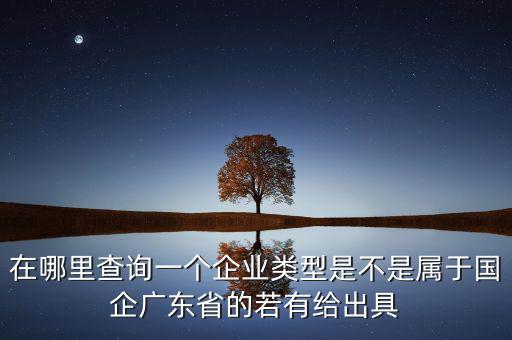 單位類型如何查詢，如何查詢企業(yè)管理類別