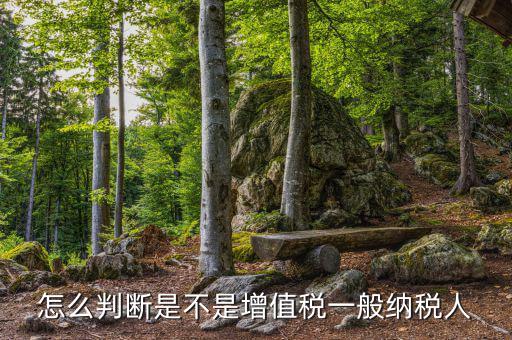 如何查詢(xún)?cè)鲋刀愐话慵{稅人，查看是否為增值稅一般納稅人