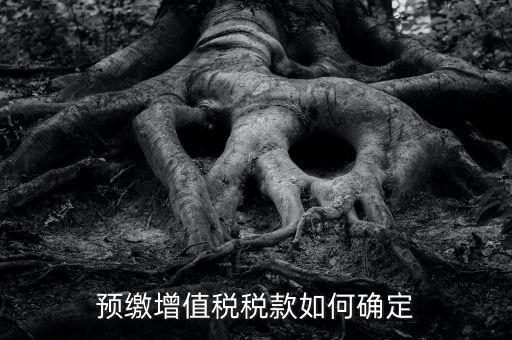 3的增值稅如何預(yù)繳，預(yù)繳增值稅稅款如何確定