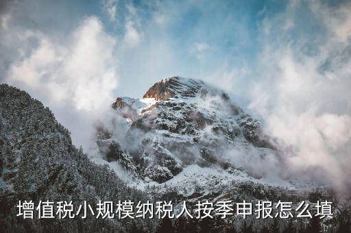 小規(guī)模納稅人如何按季申報，增值稅小規(guī)模納稅人按季申報怎么填