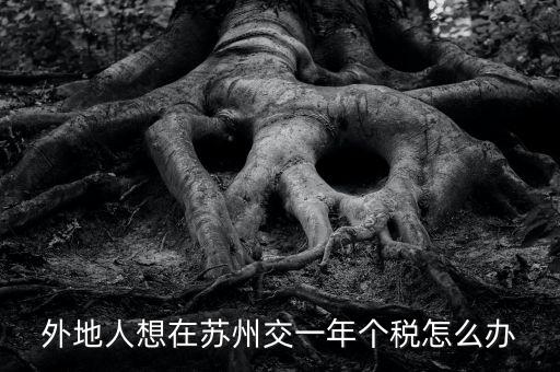 蘇州如何補繳個稅，外地人想在蘇州交一年個稅怎么辦