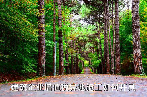 外地施工 單位如何開票，建筑施工企業(yè)出省施工稅票問題怎么開據(jù)