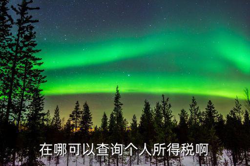 如何查詢個(gè)人所得稅記錄，在哪可以查詢個(gè)人所得稅啊
