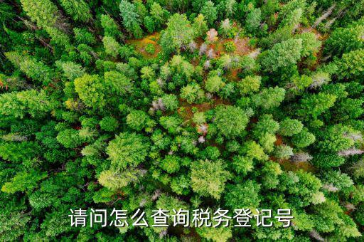 如何查地稅登記號，怎樣在網(wǎng)上查詢國稅和地稅登記號