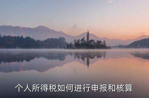 個人所得稅如何進(jìn)行申報(bào)和核算