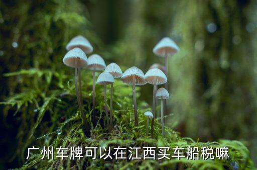 江西省車船稅如何查詢系統(tǒng)，江西怎么查詢自己的駕照