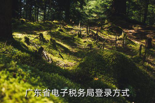 如何在廣東省國家稅務(wù)局登陸，為什么深圳國稅發(fā)票無法在廣東省國稅網(wǎng)站查詢