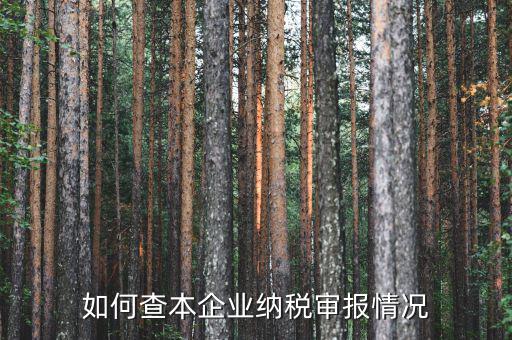 如何查詢公司納稅情況，如何查本企業(yè)納稅審報情況