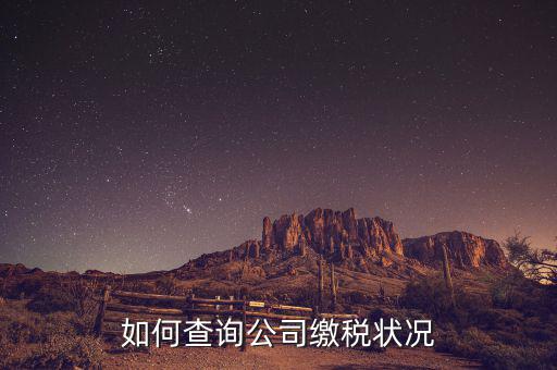 如何查詢(xún)公司繳稅狀況