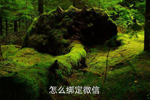 微信如何綁定深圳國(guó)稅，怎么綁定微信