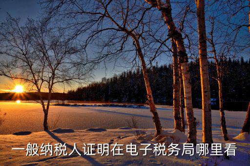 電子稅務局如何查詢稅務登記證，一般納稅人證明在電子稅務局哪里看