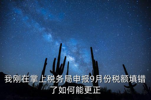 稅務如何更正申報，我剛在掌上稅務局申報9月份稅額填錯了如何能更正