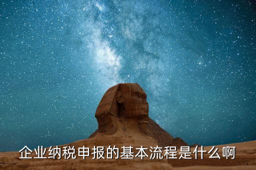 施工企業(yè)如何申報(bào)稅，企業(yè)納稅申報(bào)的基本流程是什么啊