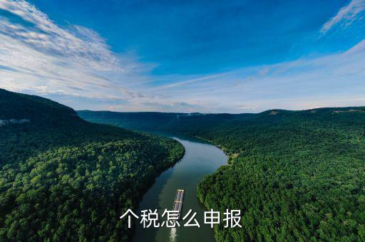 商業(yè)保險(xiǎn)個(gè)稅如何申報(bào)，商業(yè)保險(xiǎn)怎么可以抵扣個(gè)人所得稅