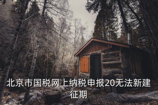 國(guó)稅系統(tǒng)如何建立征期，北京國(guó)稅網(wǎng)上申報(bào)系統(tǒng)是不是只能在每個(gè)月初才可以新建征期呢我