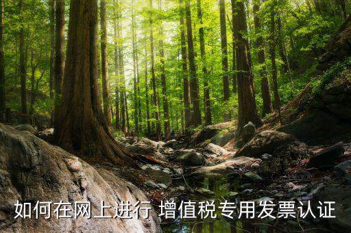 增值稅專(zhuān)用票如何在網(wǎng)上申請(qǐng)，購(gòu)買(mǎi)增值稅專(zhuān)用發(fā)票要先在網(wǎng)上怎么操作