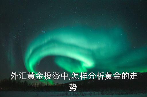 外匯大盤(pán)怎么看,外匯融資融券交易又稱投機(jī)外匯