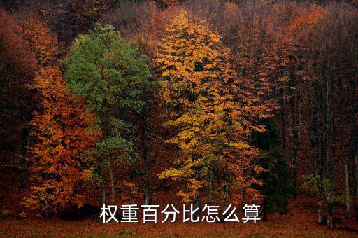 銀行權(quán)重怎么算,如何排隊和設置指標項的最高權(quán)重?