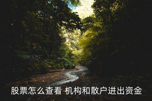  股票怎么查看 機構(gòu)和散戶進(jìn)出資金