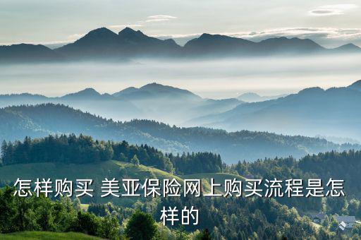 美亞保險(xiǎn)怎么報(bào)險(xiǎn),春運(yùn)如何購(gòu)買(mǎi)保險(xiǎn)?可在線投保、索賠