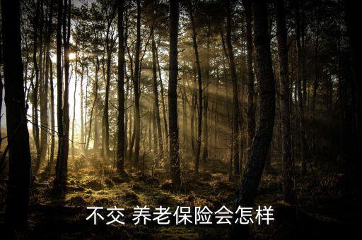 社保養(yǎng)老不買會怎么樣,社保停保和續(xù)?？赡苡绊懤U納費用