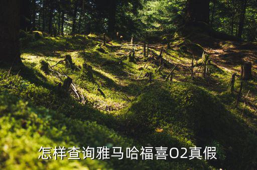 福喜怎么被發(fā)現,福喜國三沒有雅馬哈和喬哥車型銷量不如預期