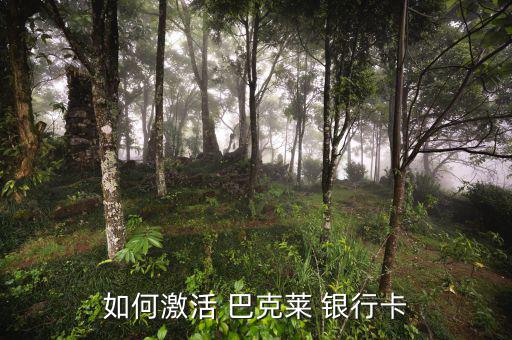 巴克萊銀行怎么樣,如果沒時(shí)間在銀行激活可在柜臺激活