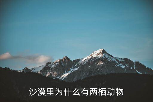 餓者稱為什么，沙漠里為什么有兩棲動(dòng)物