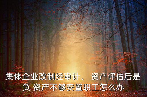集體企業(yè)改制經(jīng)審計(jì)、 資產(chǎn)評(píng)估后是負(fù) 資產(chǎn)不夠安置職工怎么辦