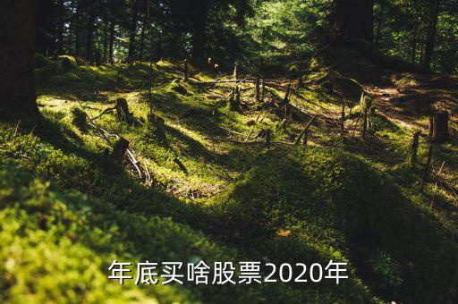 年底買什么股票好，年底到年初這段時間炒什么類型的股票好