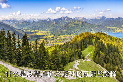 股票溢價是什么意思，什么是股票溢價之謎對此有哪些解釋