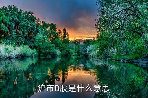 上工b股做什么，滬市B股是什么意思