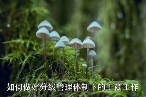 什么是分層分級管理，如何做好分級管理體制下的工商工作