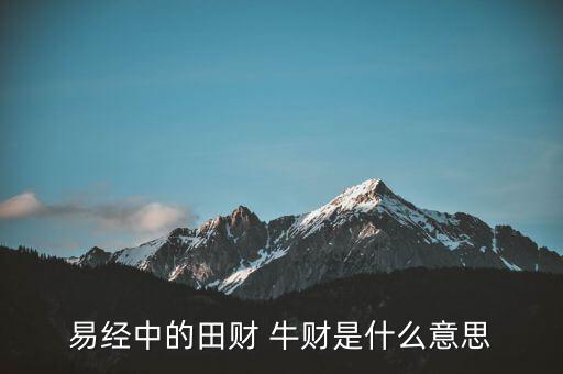 牛牛理財(cái)是什么意思，易經(jīng)中的田財(cái) 牛財(cái)是什么意思