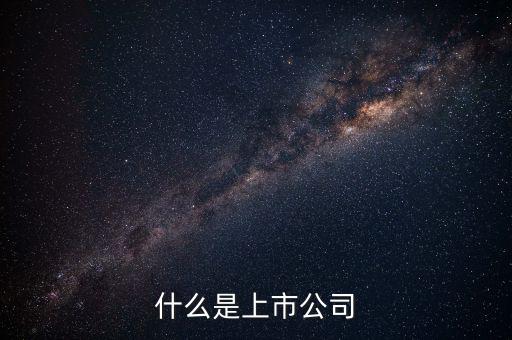 上市公司代表什么，上市公司什么意思