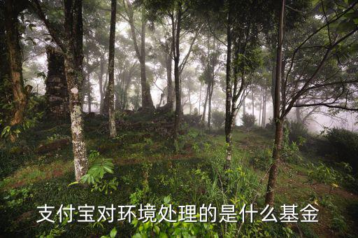 支付寶中的基金是什么，支付寶對環(huán)境處理的是什么基金