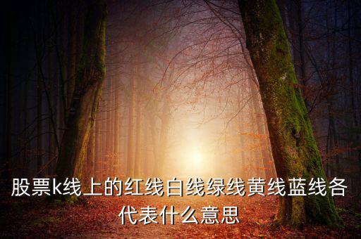 地圖綠線紅線代表什么，手機百度地圖路線中有紅色綠色藍色等不同的顏色代表什么