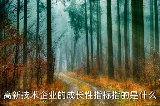 公司成長性指標(biāo)用什么，請問反映企業(yè)價(jià)值和企業(yè)成長性的指標(biāo)有哪些
