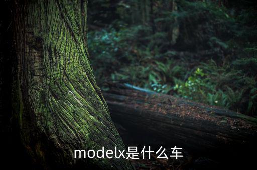 modelx是什么車(chē)