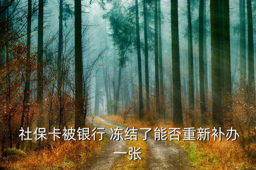 社?？ńy(tǒng)籌凍結(jié)怎么辦,首次使用社?？ㄐ柘炔迦脶t(yī)保卡即可