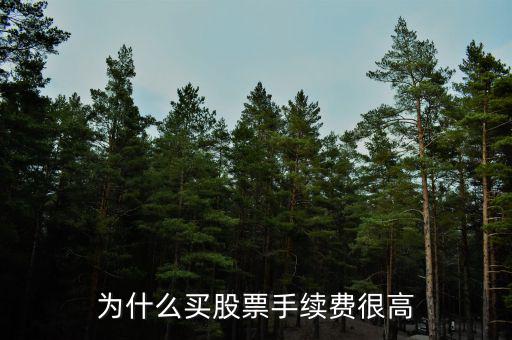 為什么股票有手續(xù)費，原始股為什么老收取手續(xù)費